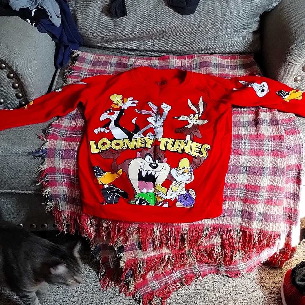 Looney Tunes sweat shirt size: extra small